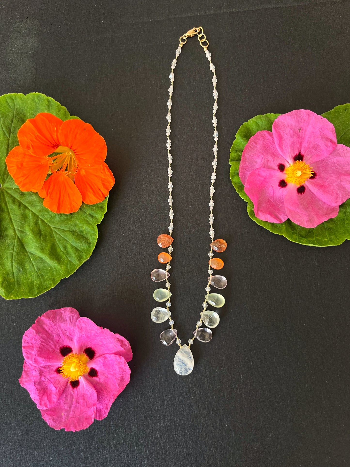 Gentle Rainbow Petals