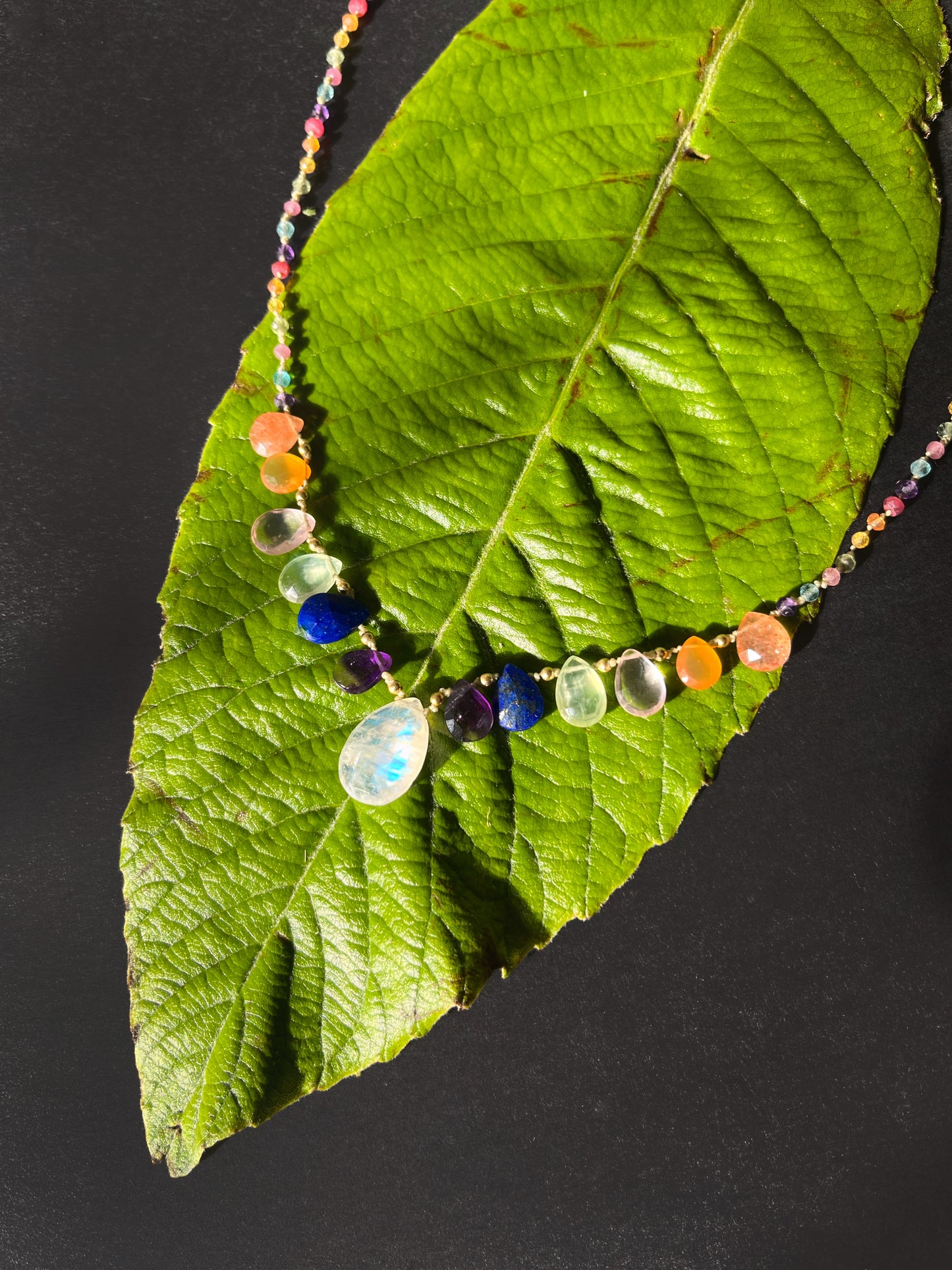 Rainbow Petals, 18K