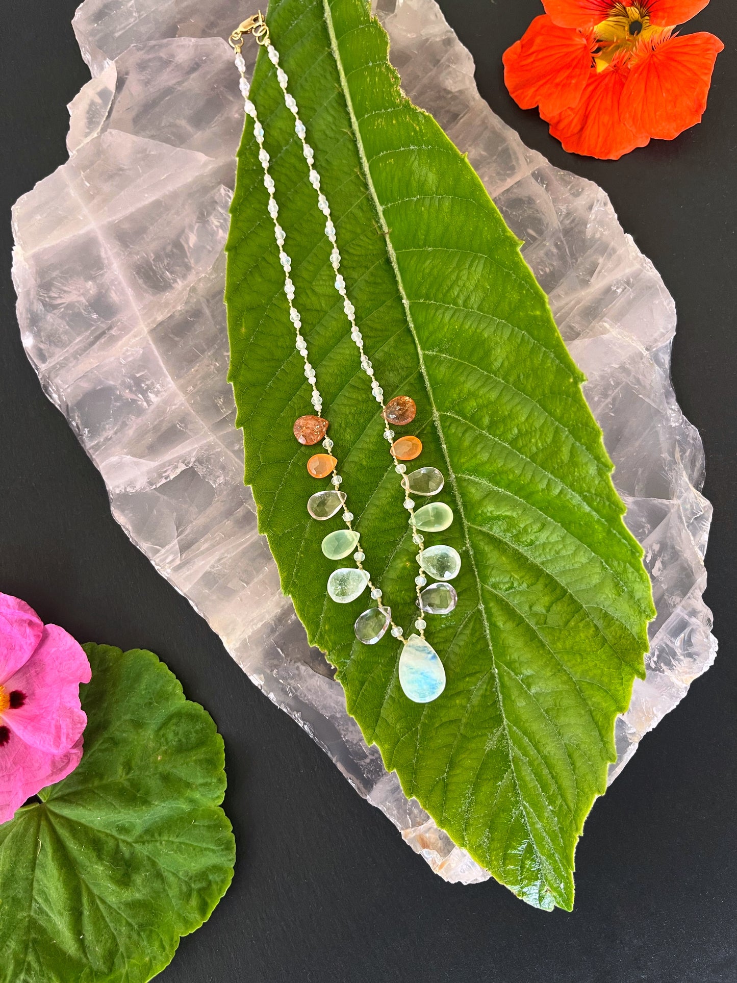 Gentle Rainbow Petals
