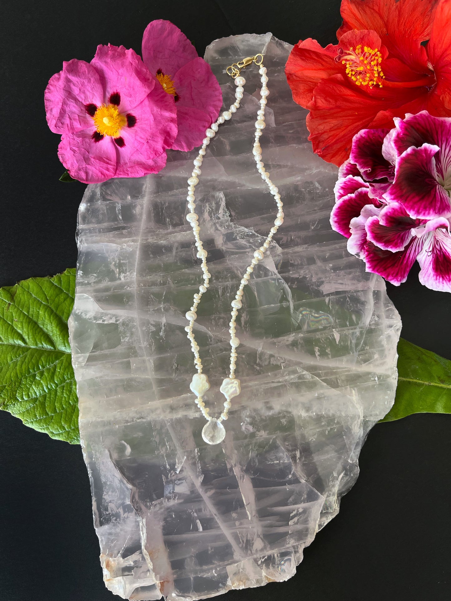 Lemurian Dreamer