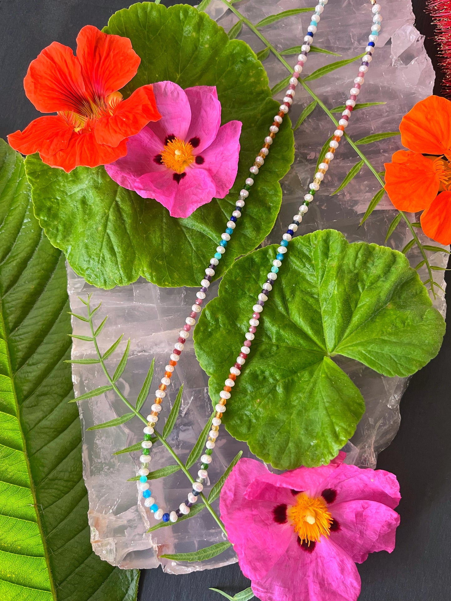 Pearl Rainbow