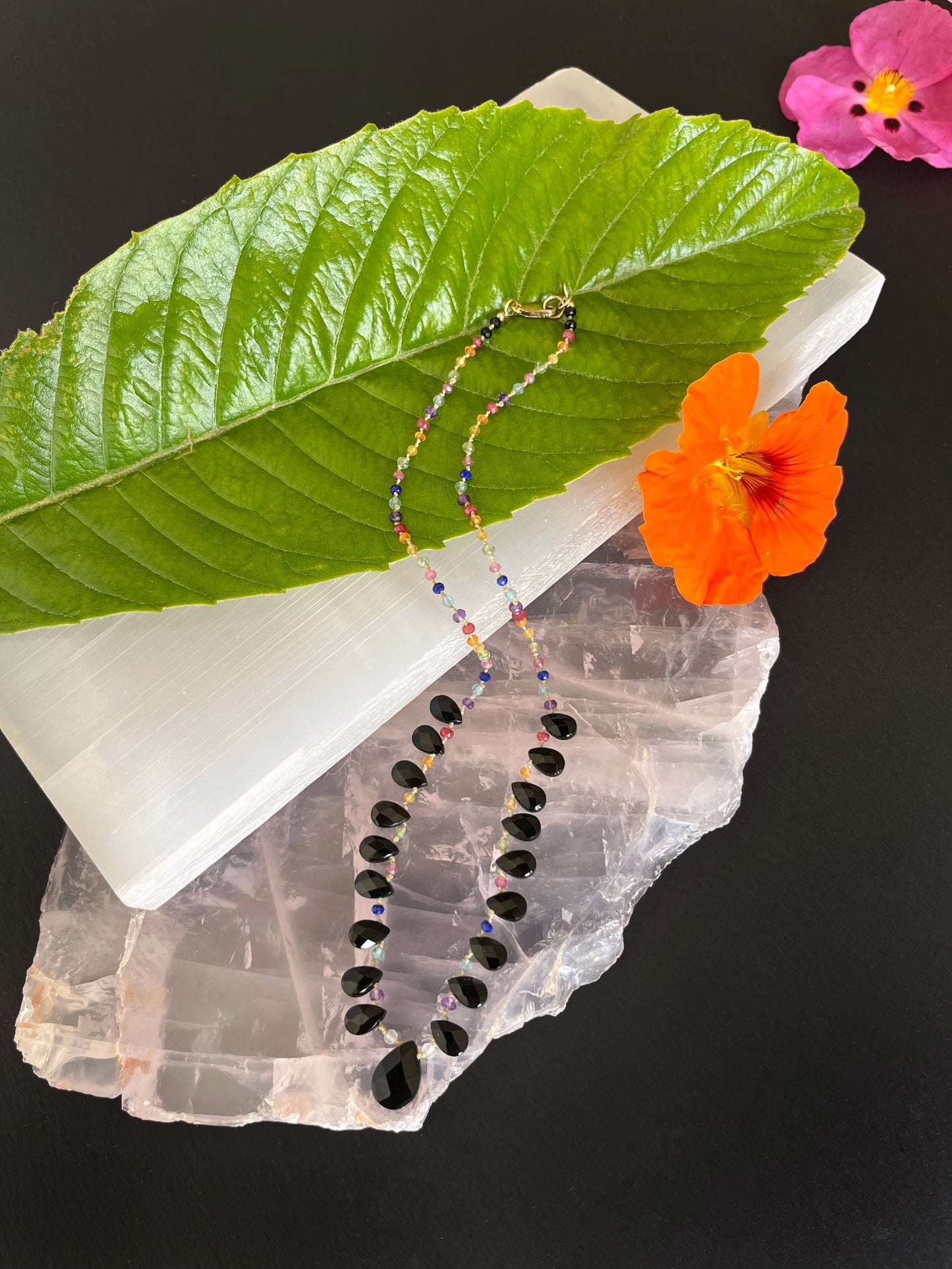 Rainbow and Onyx Petals
