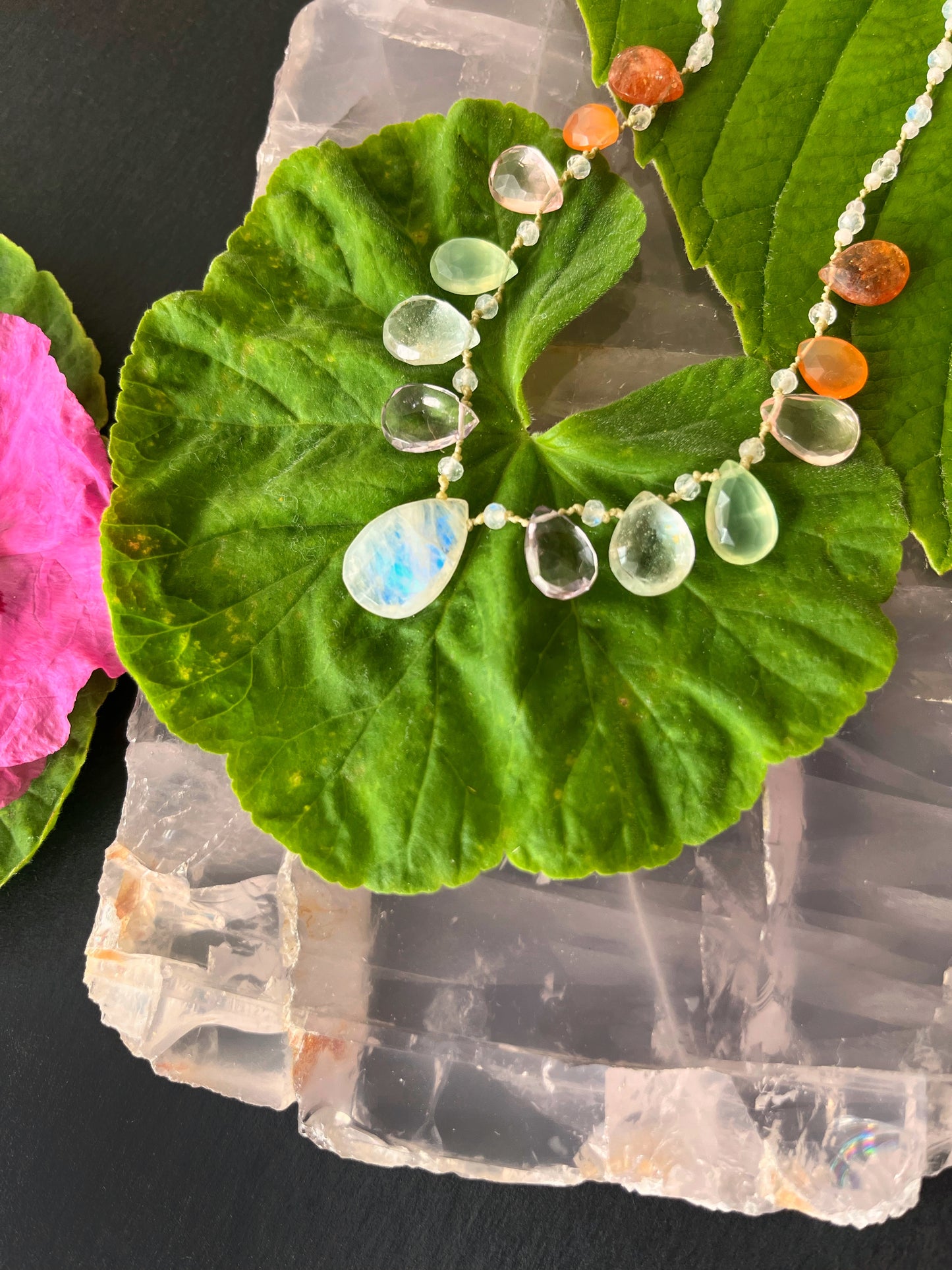 Gentle Rainbow Petals