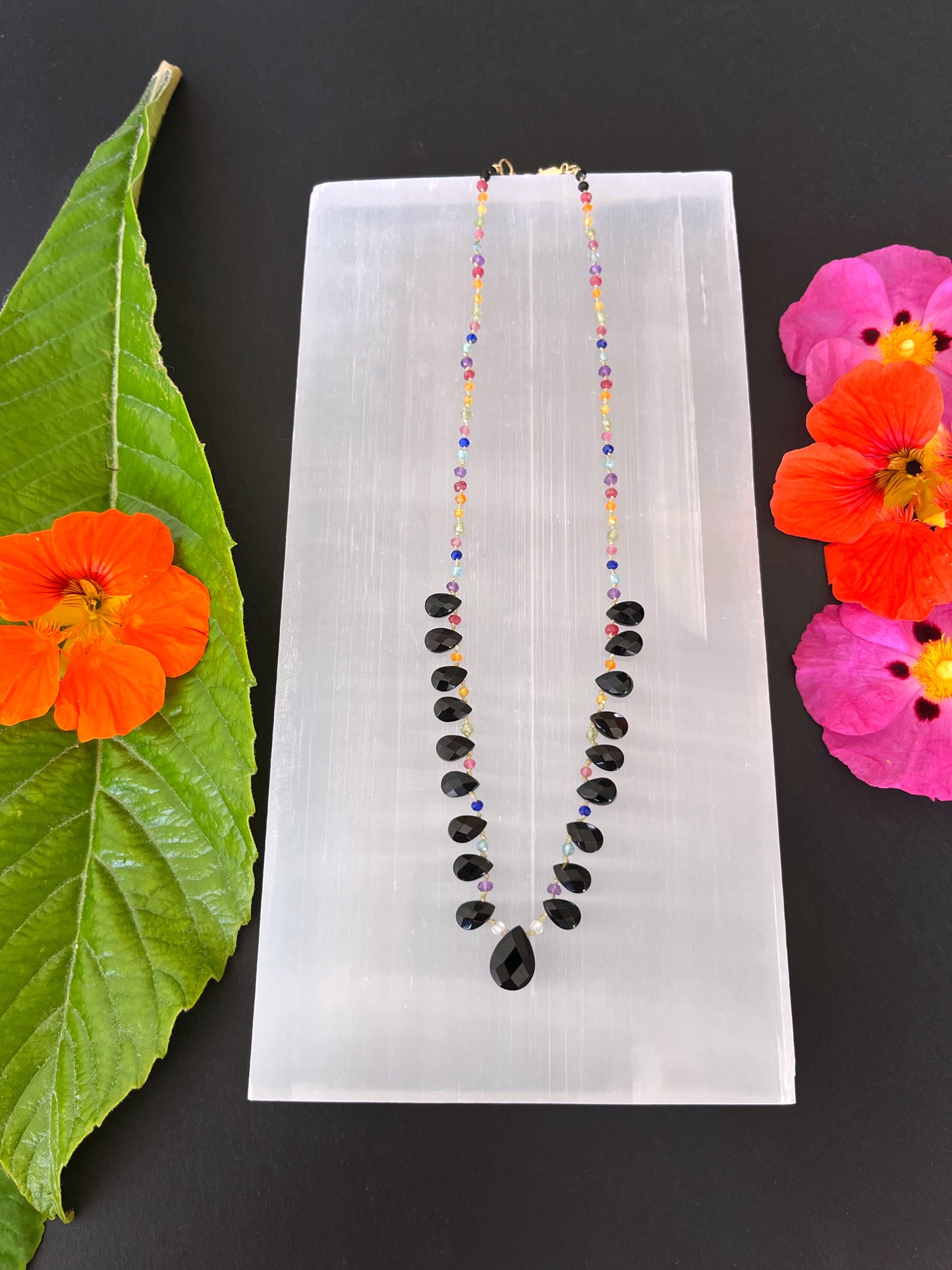 Rainbow and Onyx Petals